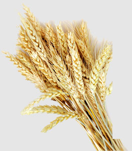 w66.利来(中国区)_来利国际旗舰厅