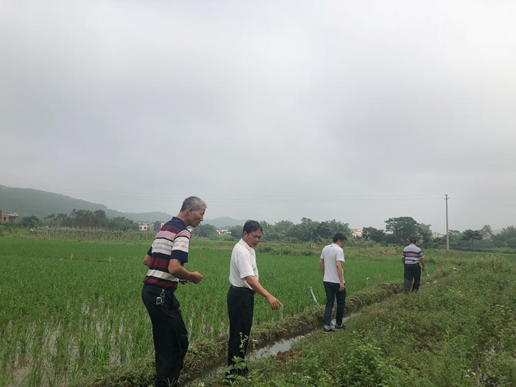 w66.利来(中国区)_来利国际旗舰厅