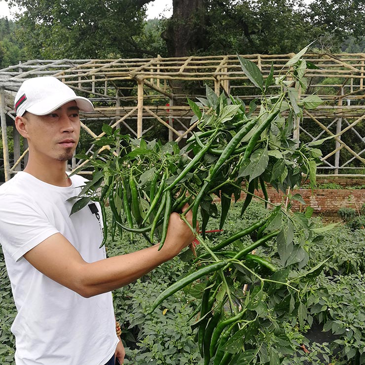 w66.利来(中国区)_来利国际旗舰厅