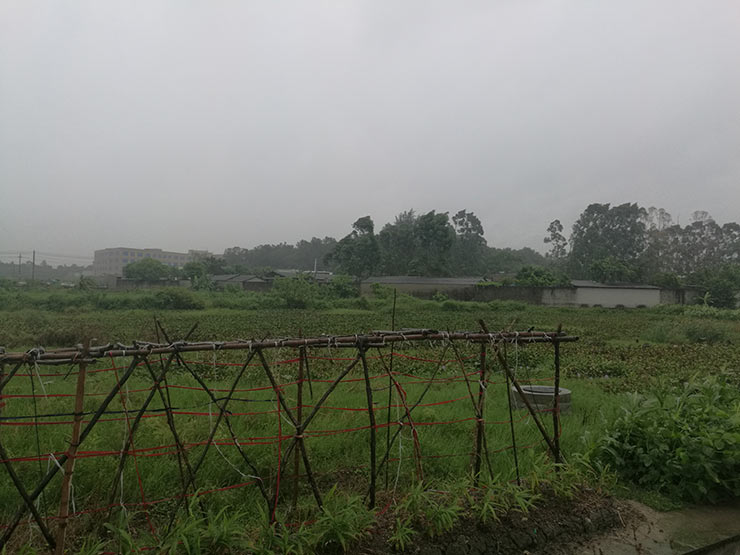 w66.利来(中国区)_来利国际旗舰厅