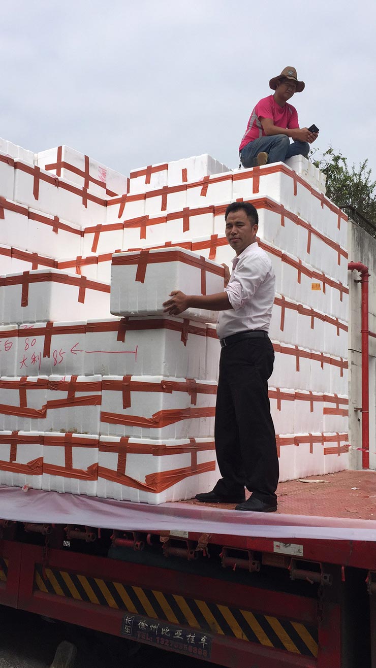 w66.利来(中国区)_来利国际旗舰厅