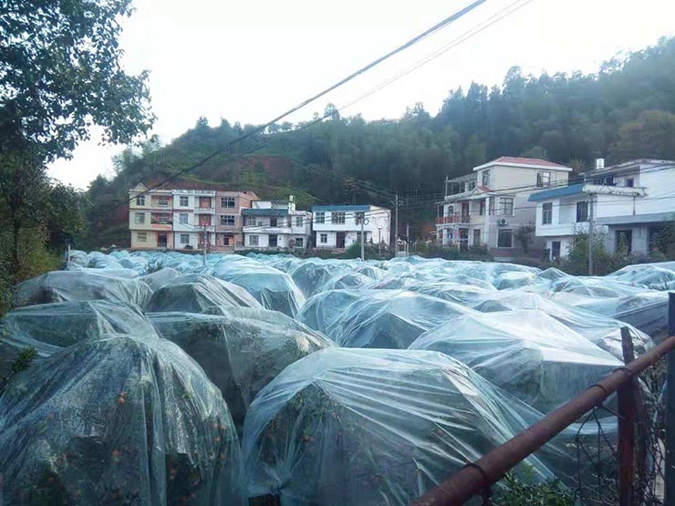 w66.利来(中国区)_来利国际旗舰厅