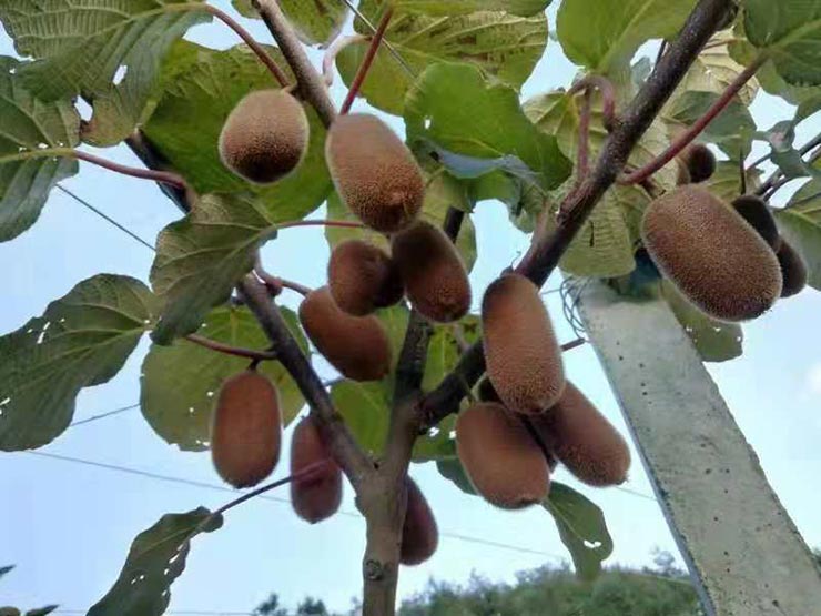 w66.利来(中国区)_来利国际旗舰厅