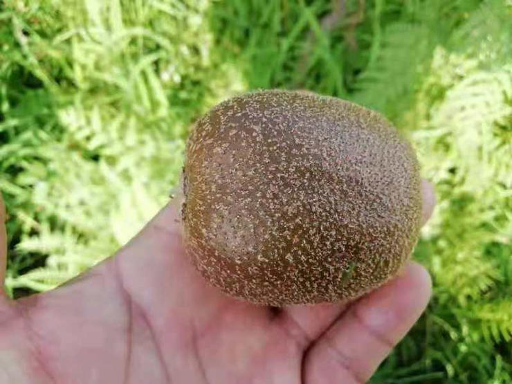 w66.利来(中国区)_来利国际旗舰厅