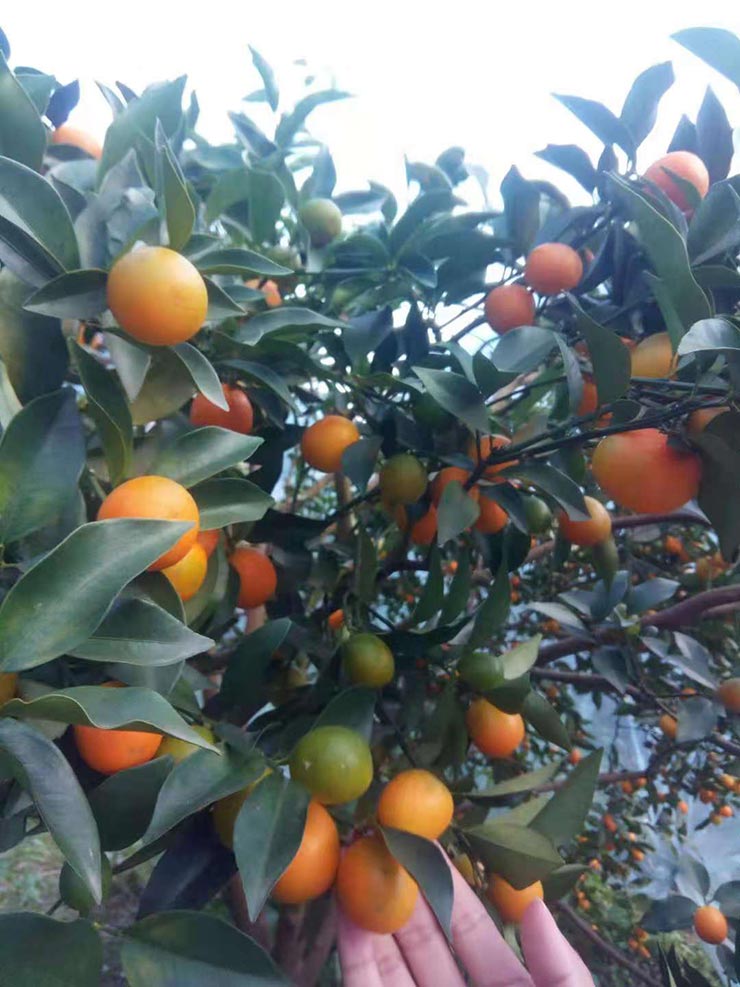 w66.利来(中国区)_来利国际旗舰厅