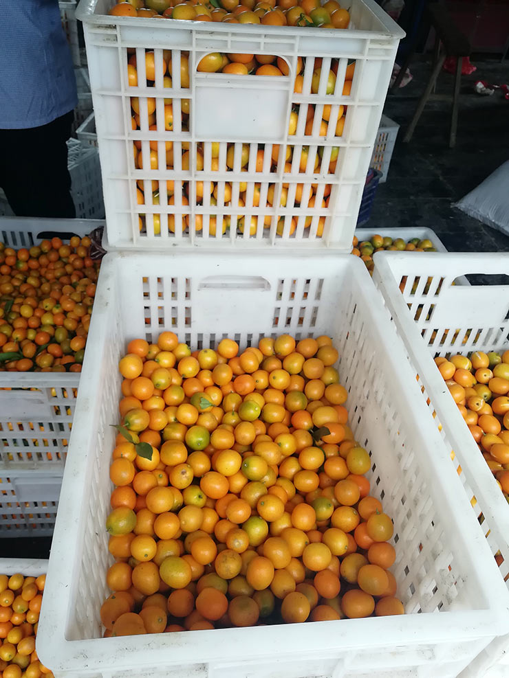 w66.利来(中国区)_来利国际旗舰厅