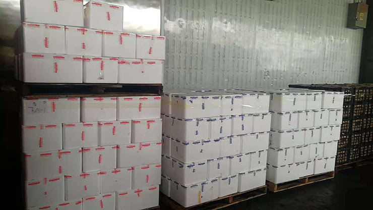 w66.利来(中国区)_来利国际旗舰厅