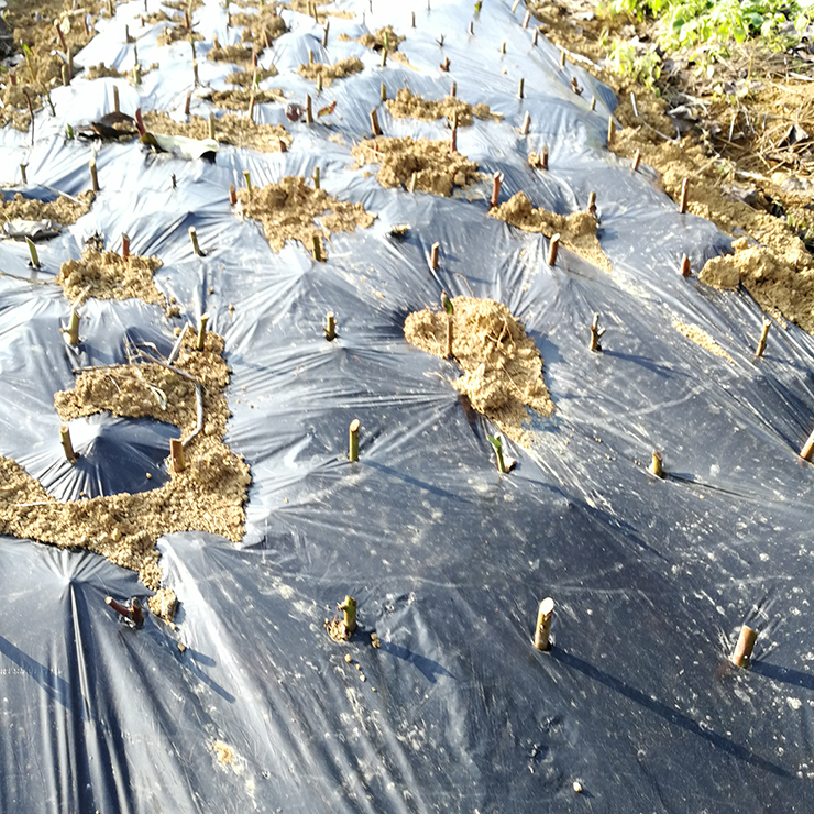 w66.利来(中国区)_来利国际旗舰厅