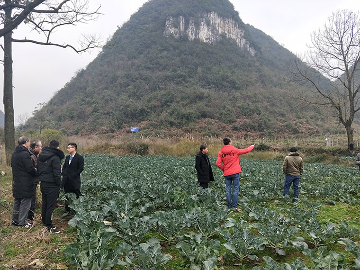 w66.利来(中国区)_来利国际旗舰厅