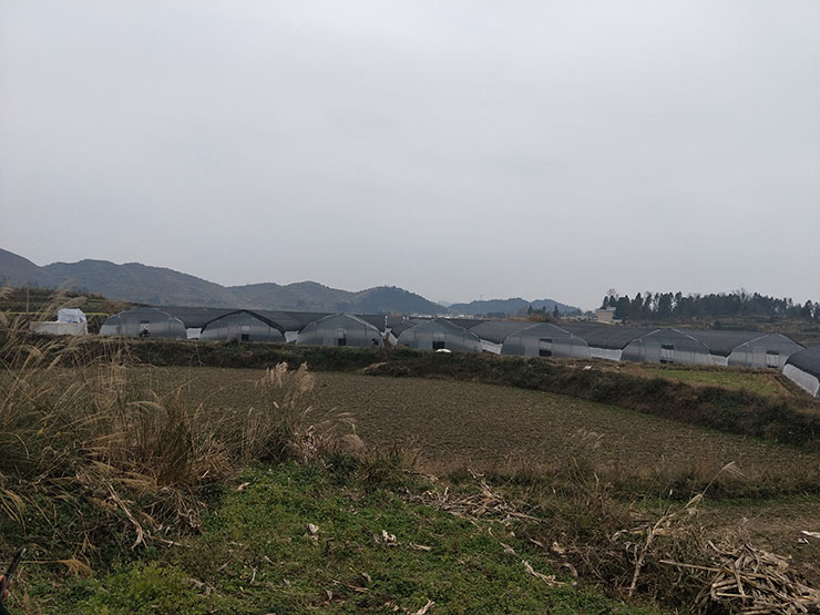 w66.利来(中国区)_来利国际旗舰厅