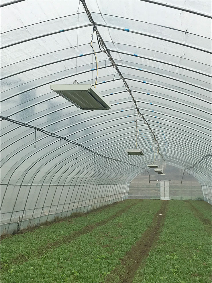 w66.利来(中国区)_来利国际旗舰厅