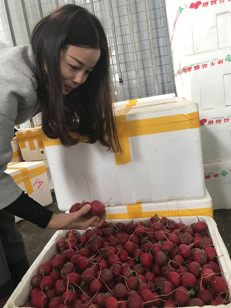 w66.利来(中国区)_来利国际旗舰厅