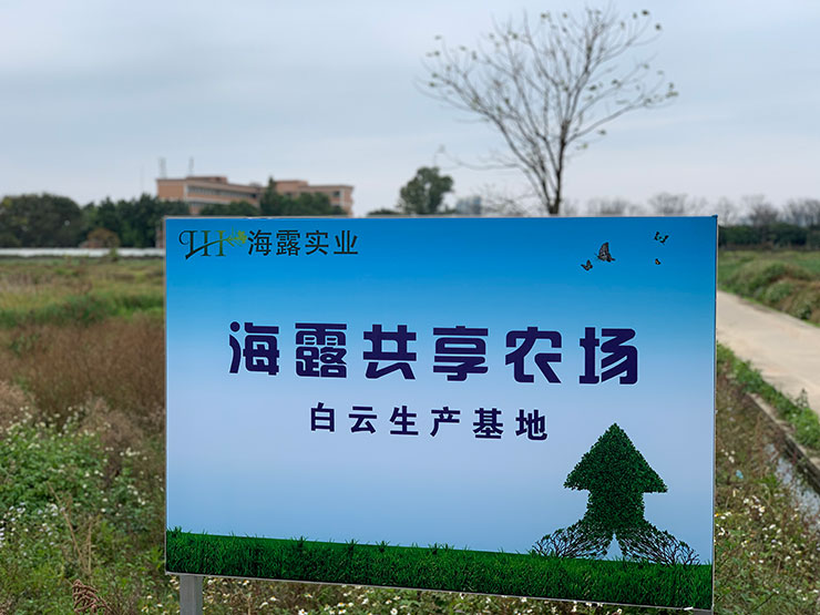 w66.利来(中国区)_来利国际旗舰厅