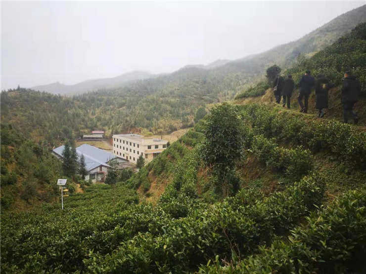 w66.利来(中国区)_来利国际旗舰厅