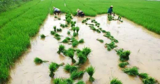 w66.利来(中国区)_来利国际旗舰厅