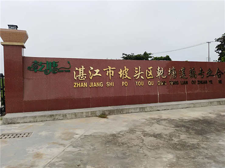 w66.利来(中国区)_来利国际旗舰厅