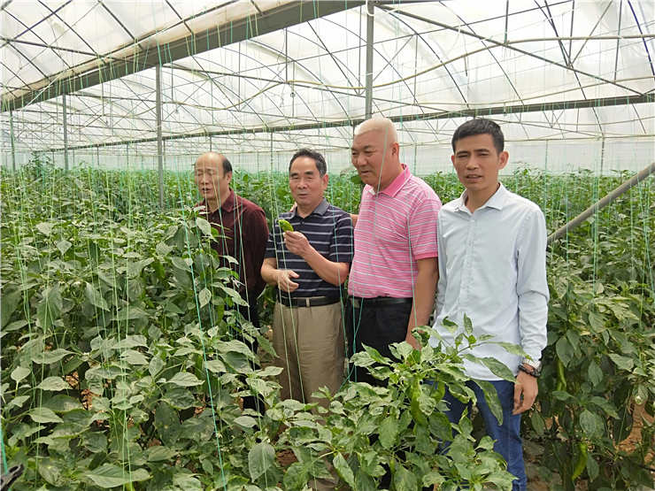 w66.利来(中国区)_来利国际旗舰厅