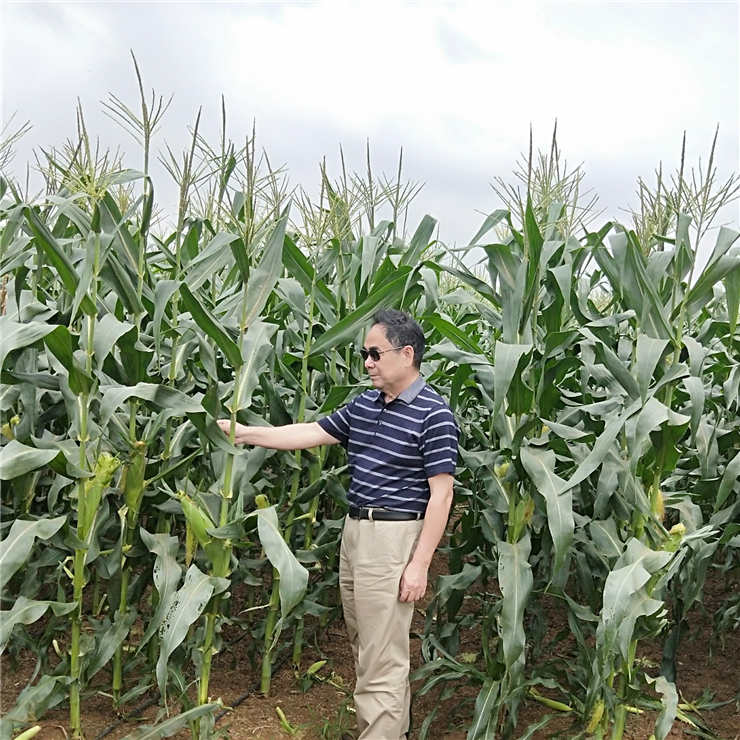 w66.利来(中国区)_来利国际旗舰厅