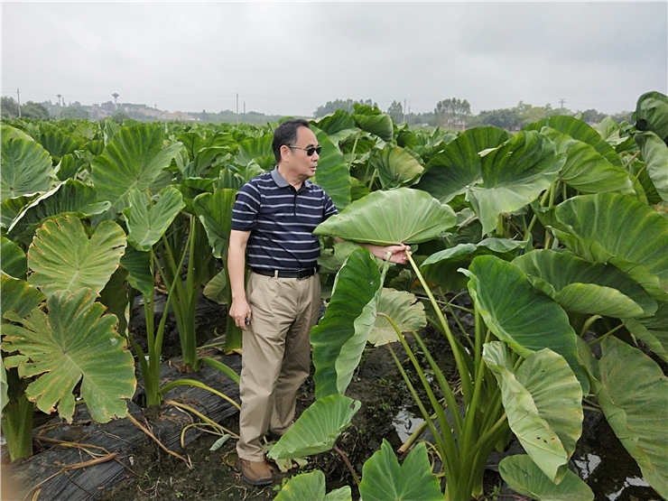 w66.利来(中国区)_来利国际旗舰厅