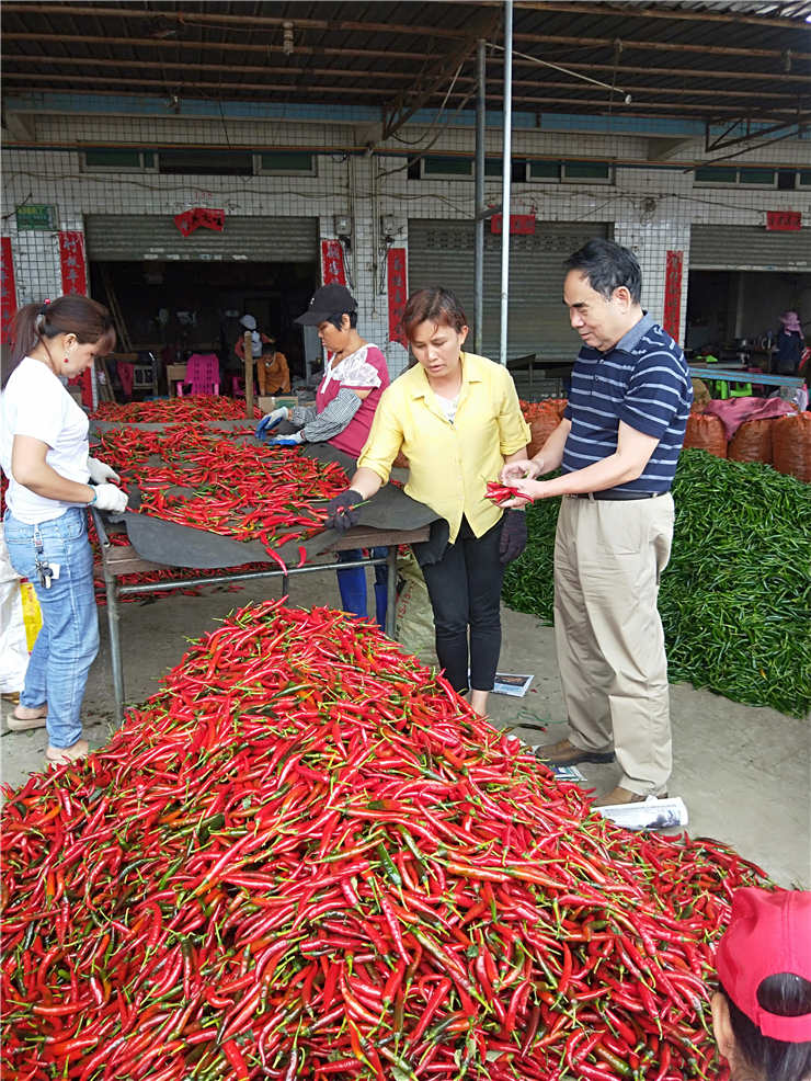 w66.利来(中国区)_来利国际旗舰厅