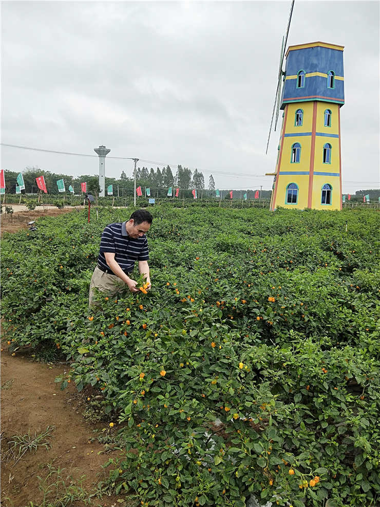 w66.利来(中国区)_来利国际旗舰厅