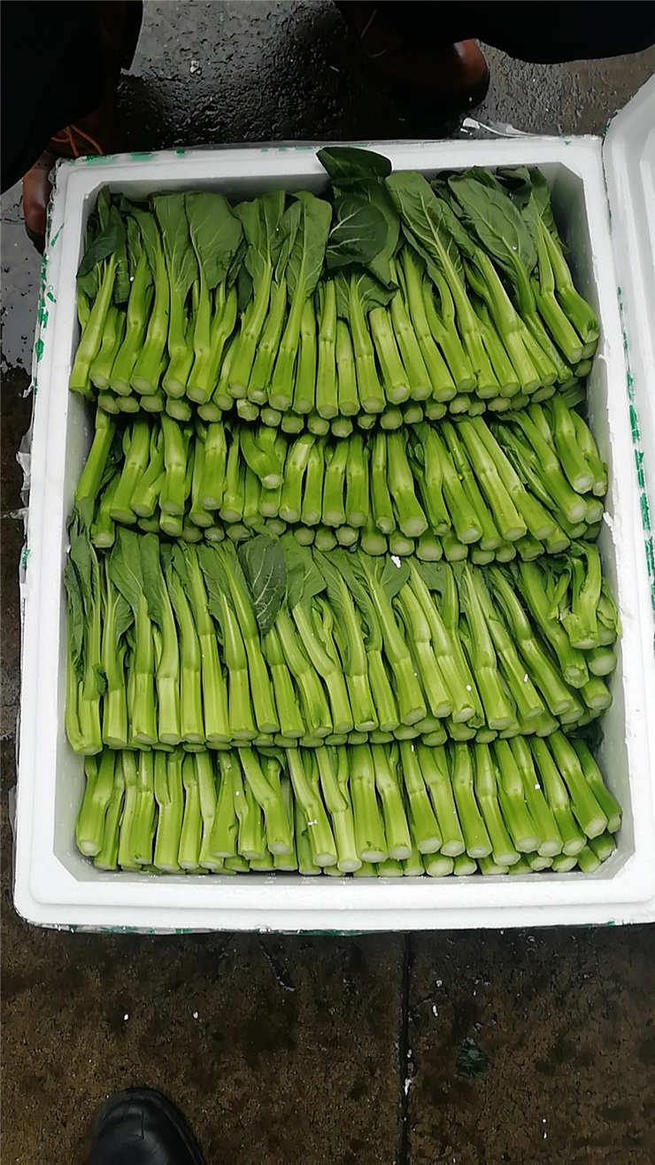 w66.利来(中国区)_来利国际旗舰厅