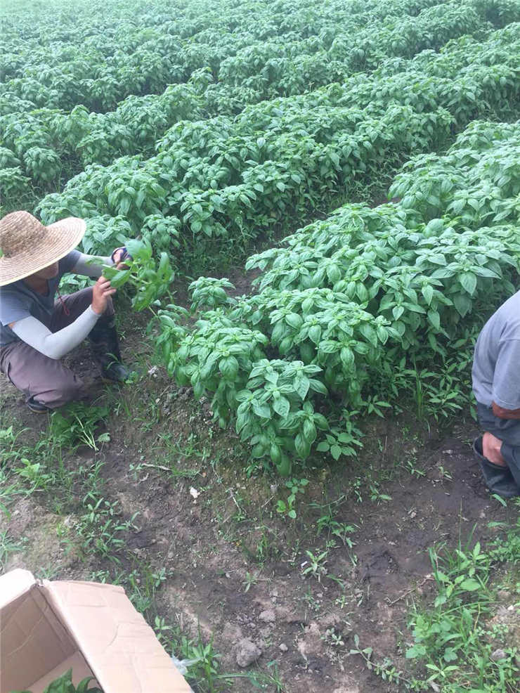 w66.利来(中国区)_来利国际旗舰厅