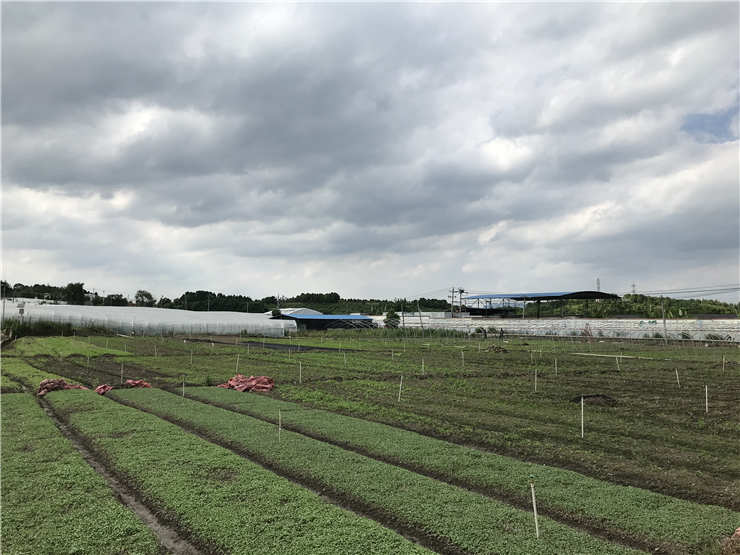 w66.利来(中国区)_来利国际旗舰厅