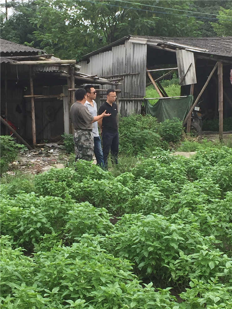 w66.利来(中国区)_来利国际旗舰厅