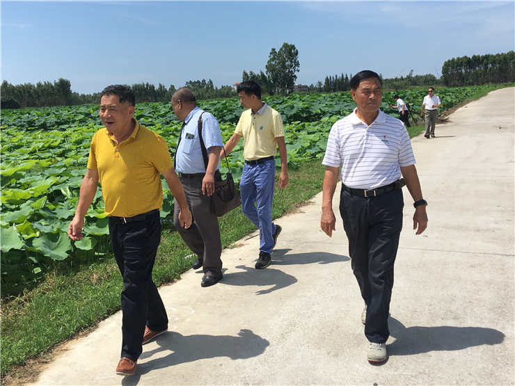 w66.利来(中国区)_来利国际旗舰厅