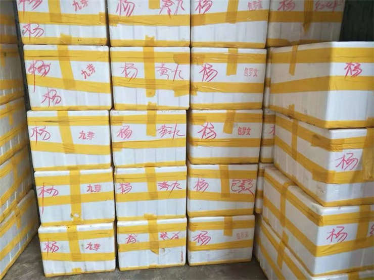 w66.利来(中国区)_来利国际旗舰厅