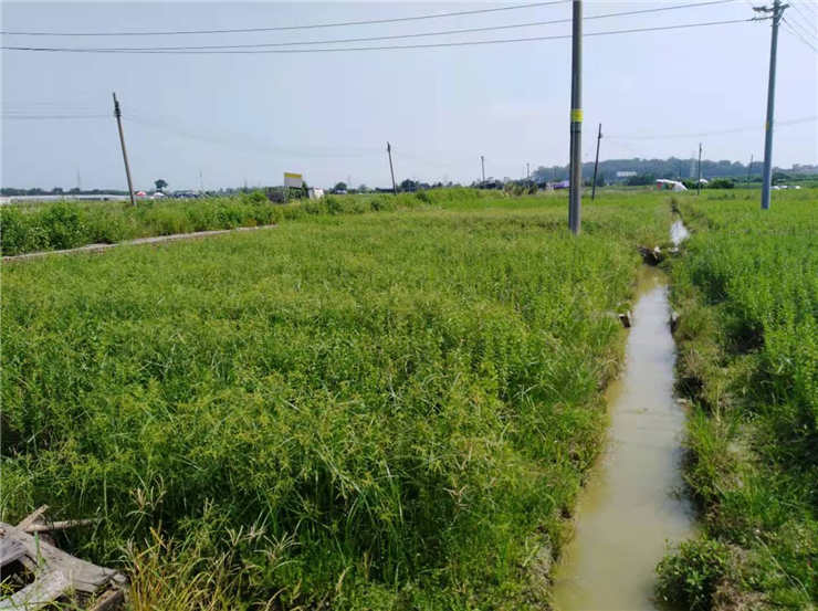 w66.利来(中国区)_来利国际旗舰厅