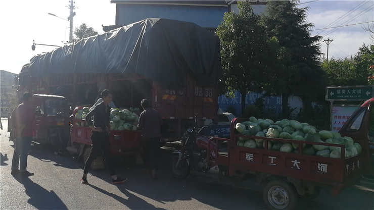 w66.利来(中国区)_来利国际旗舰厅