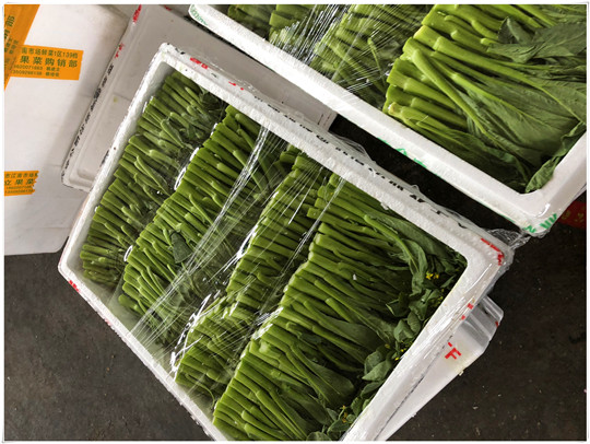 w66.利来(中国区)_来利国际旗舰厅