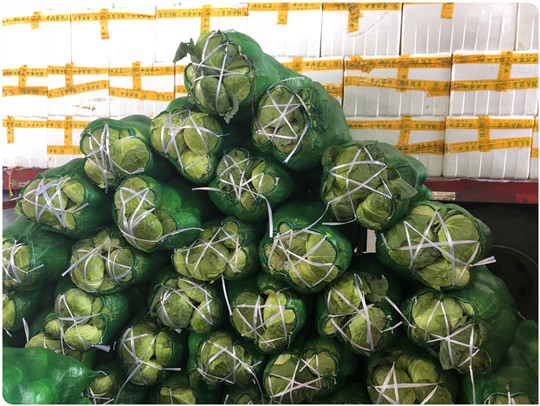 w66.利来(中国区)_来利国际旗舰厅