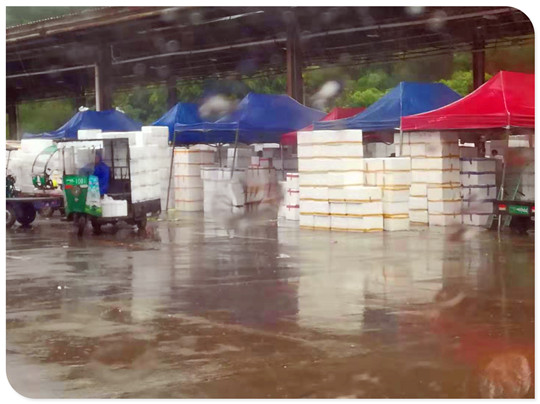 w66.利来(中国区)_来利国际旗舰厅