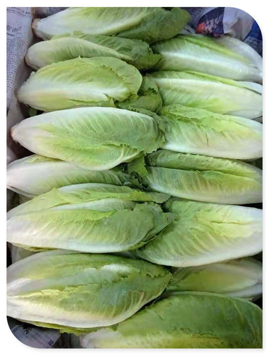 w66.利来(中国区)_来利国际旗舰厅