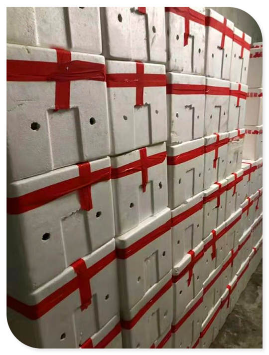 w66.利来(中国区)_来利国际旗舰厅