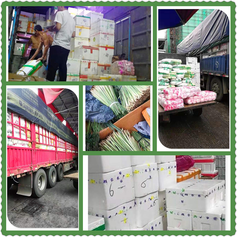 w66.利来(中国区)_来利国际旗舰厅