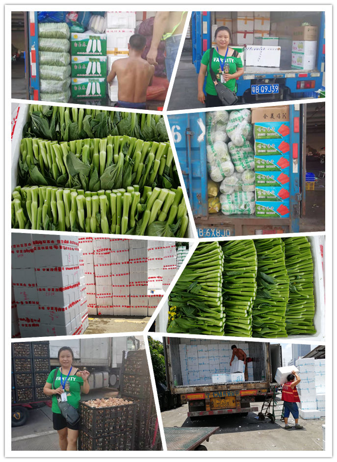 w66.利来(中国区)_来利国际旗舰厅