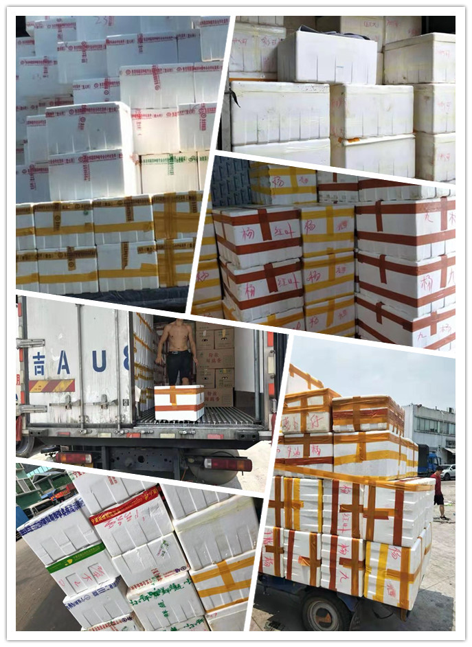 w66.利来(中国区)_来利国际旗舰厅