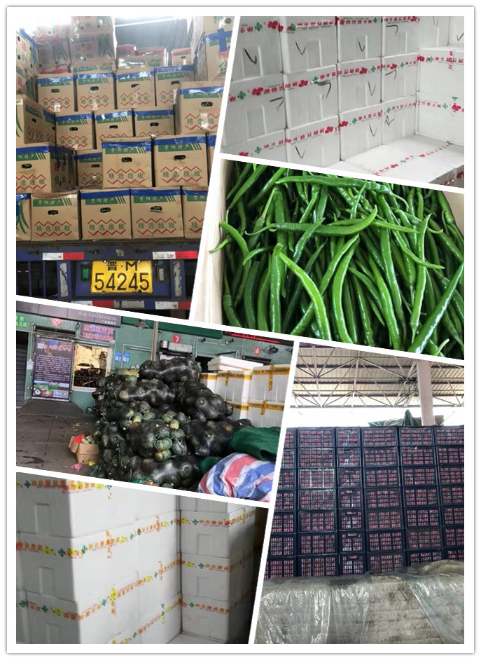 w66.利来(中国区)_来利国际旗舰厅