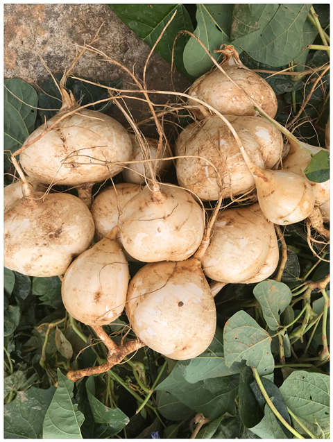 w66.利来(中国区)_来利国际旗舰厅