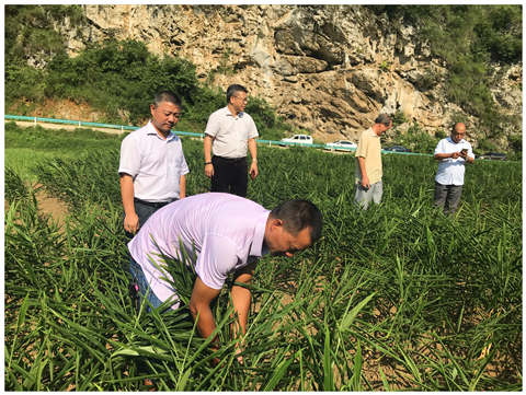 w66.利来(中国区)_来利国际旗舰厅