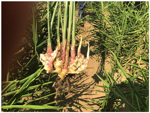 w66.利来(中国区)_来利国际旗舰厅