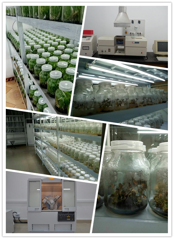 w66.利来(中国区)_来利国际旗舰厅