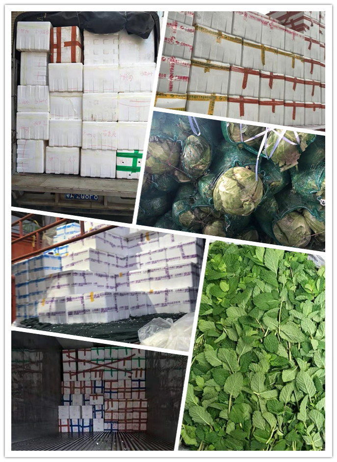 w66.利来(中国区)_来利国际旗舰厅