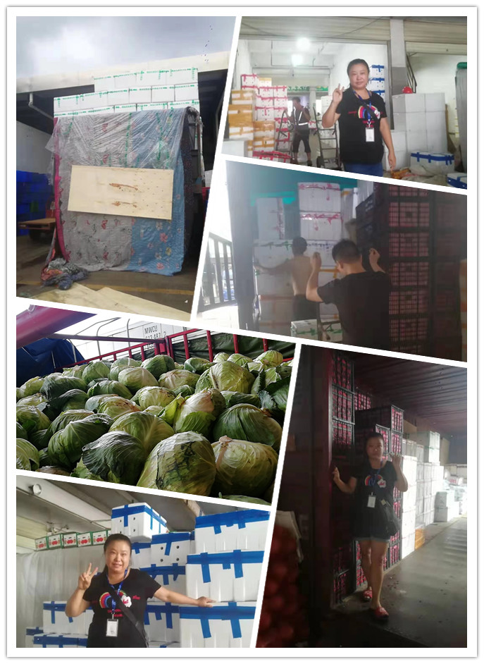 w66.利来(中国区)_来利国际旗舰厅