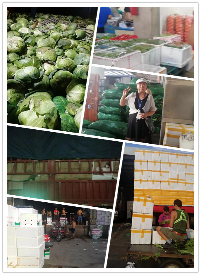 w66.利来(中国区)_来利国际旗舰厅