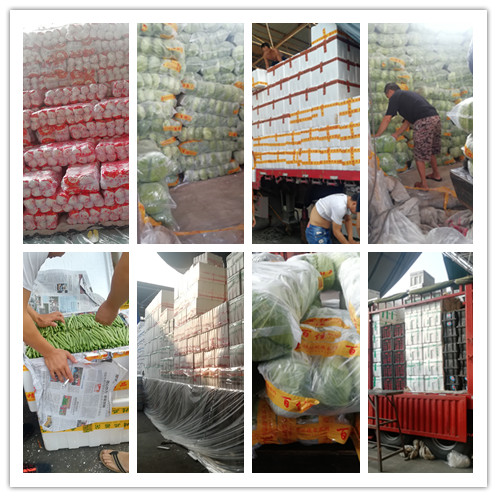 w66.利来(中国区)_来利国际旗舰厅